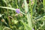 Fluglager Blumberg 2010 259.jpg