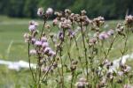 Fluglager Blumberg 2010 287.jpg