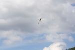 Flugplatzfest 971.jpg