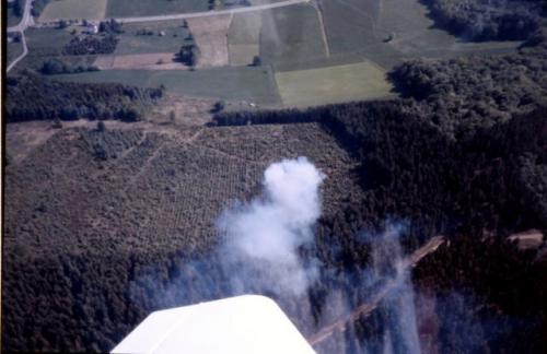 Waldbrand Nord 1