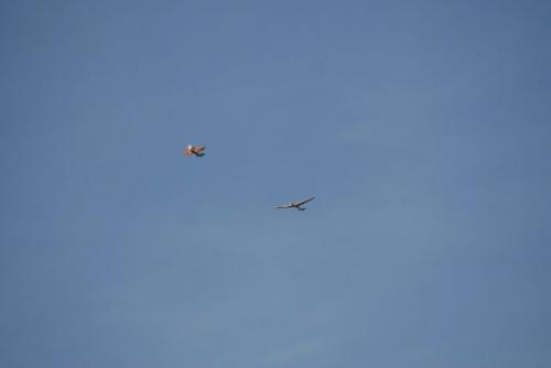 IMG_3925.JPG