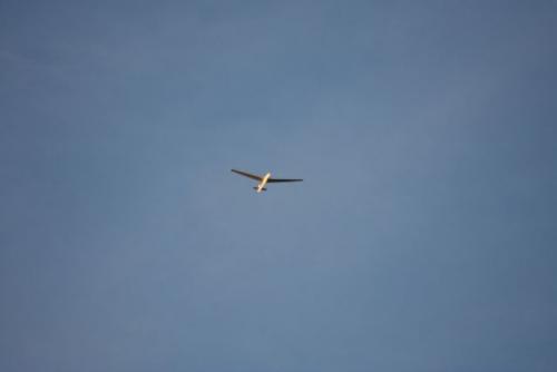 IMG_3926.JPG