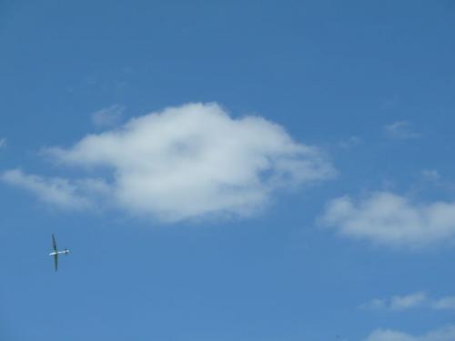 P1000985.jpg