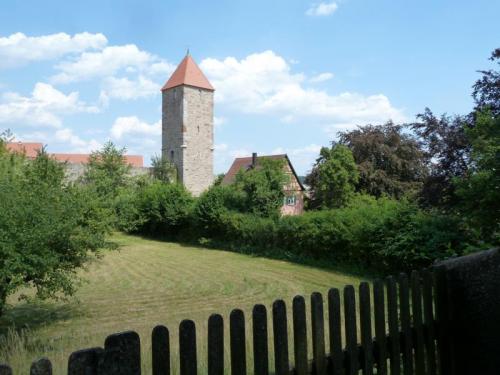 P1010951