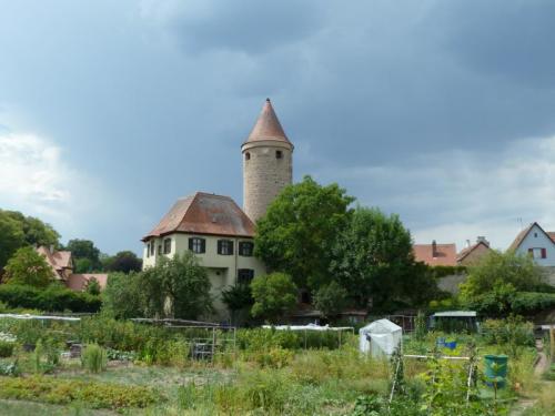 P1010954
