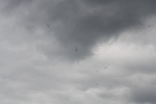 Sauerlandwettbewerb 2014.06.22 167.jpg