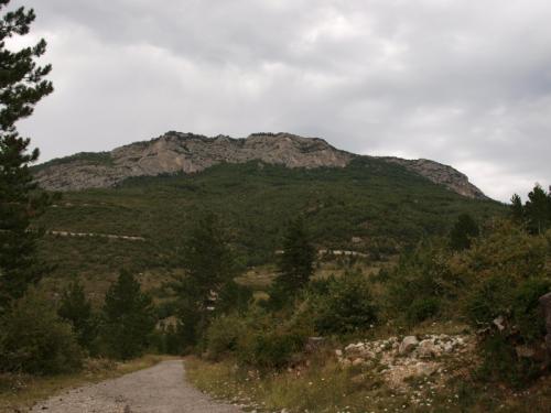 P8225134