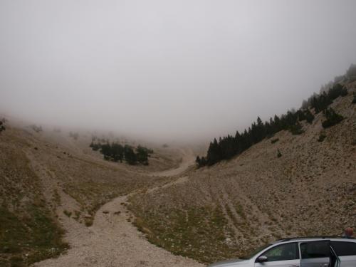 P8265222