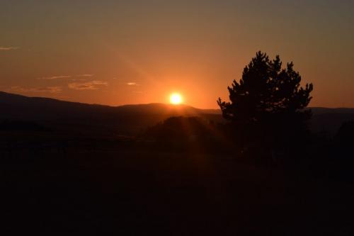 DSC_0586.JPG