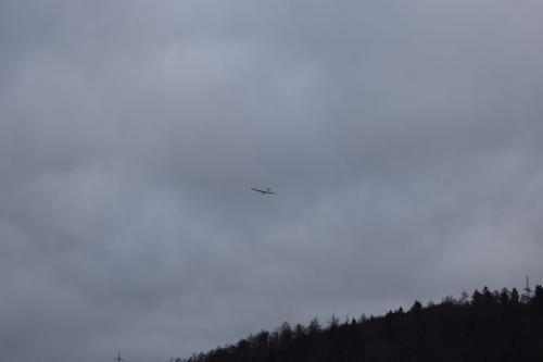 Foto41.jpg